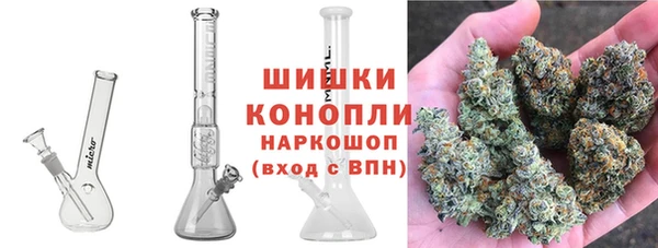 ГАЛЛЮЦИНОГЕННЫЕ ГРИБЫ Алексин