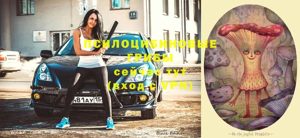 ГАЛЛЮЦИНОГЕННЫЕ ГРИБЫ Алексин
